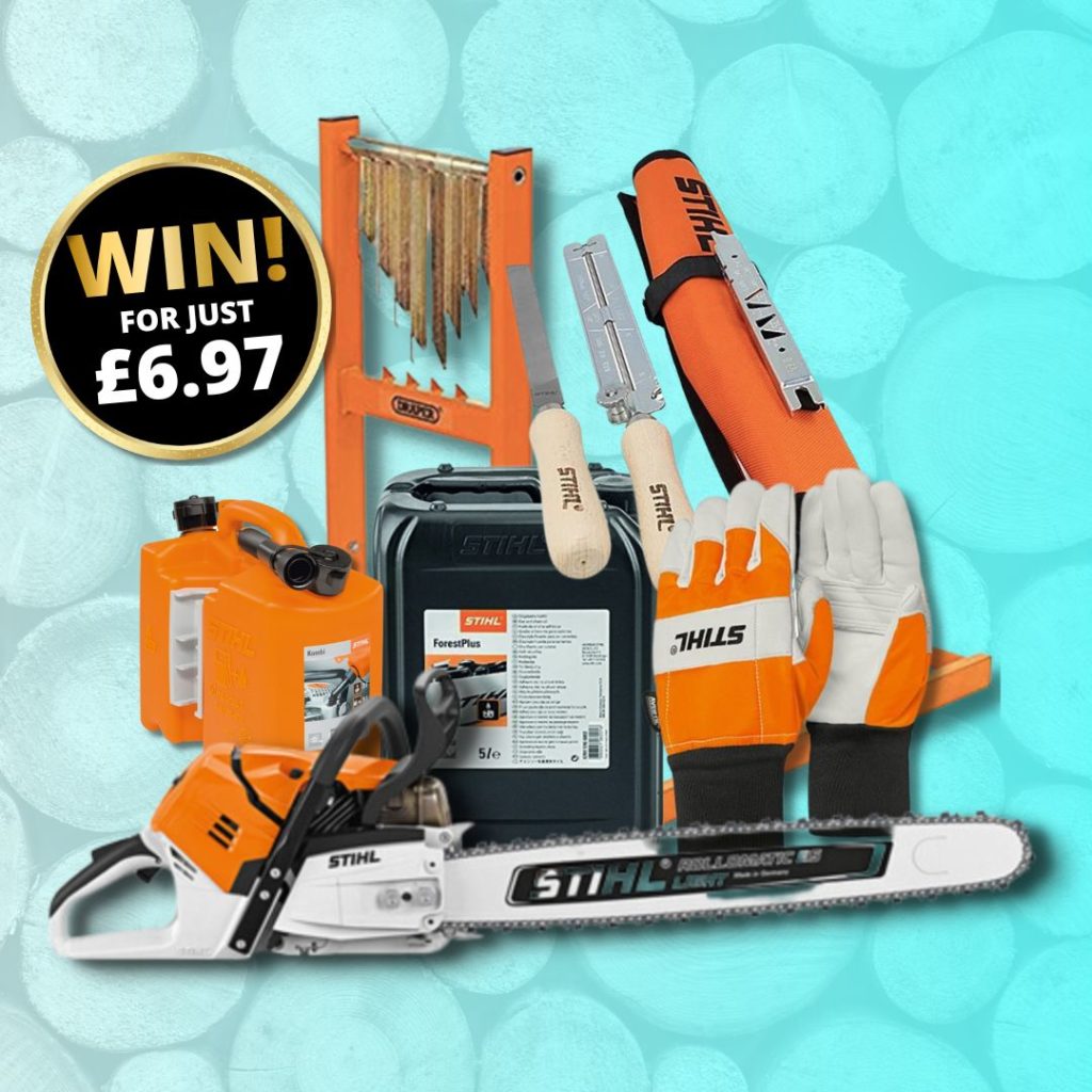 Stihl Promotions 2025 Debi Sharona