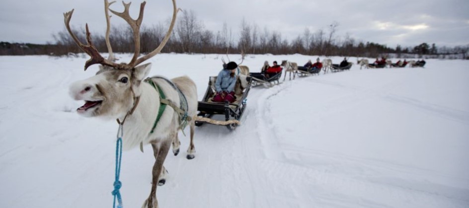 lapland day trips from belfast