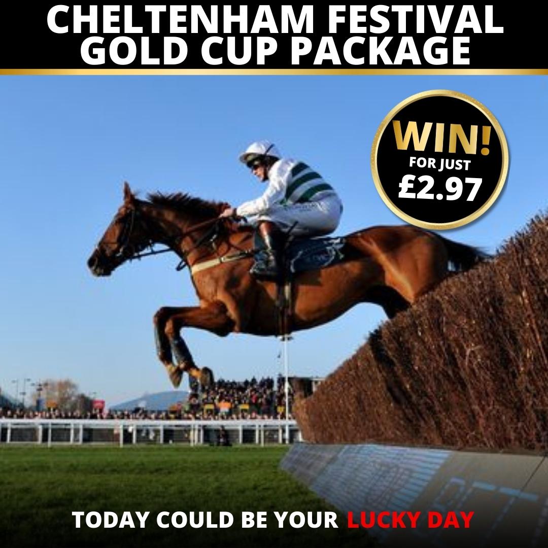 Cheltenham Festival 2025 Packages And Prices Briana Roobbie