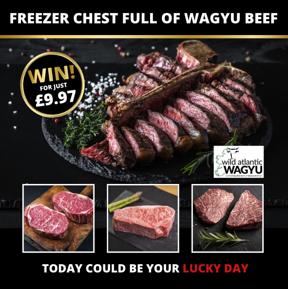 Chest Freezer filled with Wagyu Beef 2 Lucky Day Competitions